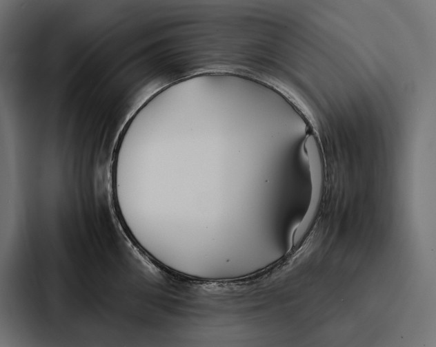 X0000086790906200705111813