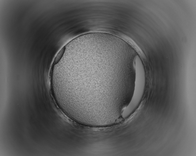 X0000086790908200705111813