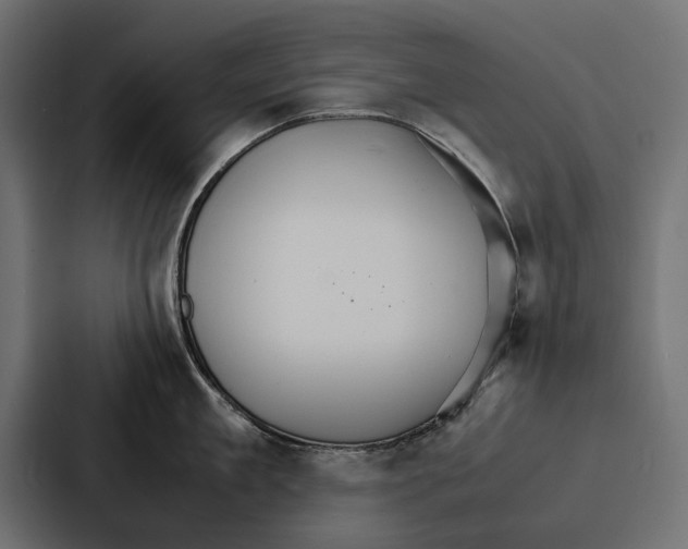 X0000086790909200705111813