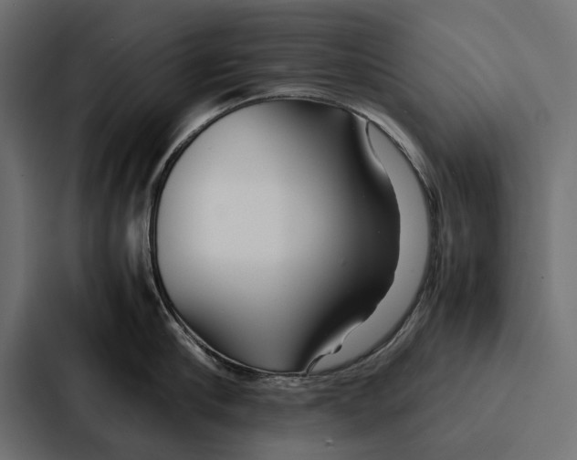 X0000086790910200705111813