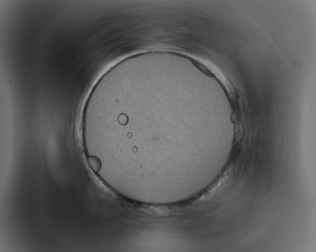 X0000086790911200705111813