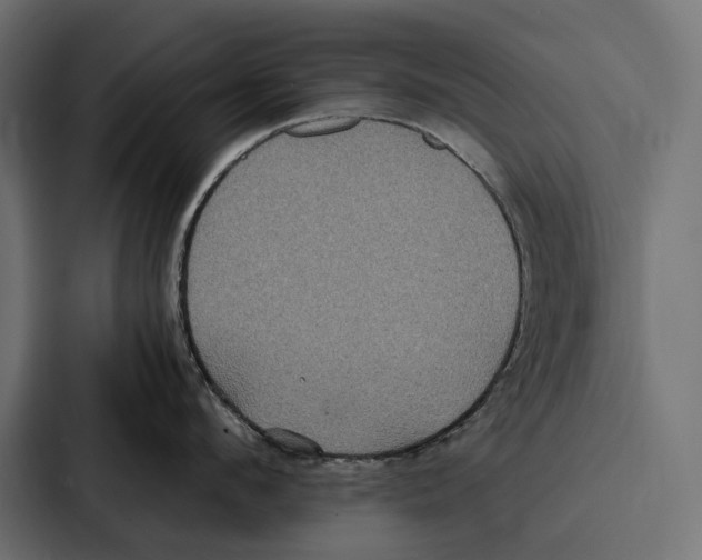 X0000086790912200705111813