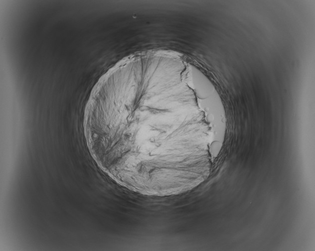 X0000086790913200705111812