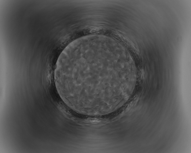 X0000086790914200705111812