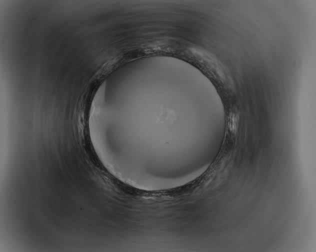 X0000086790915200705111812