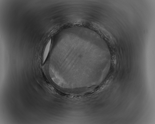 X0000086790916200705111812