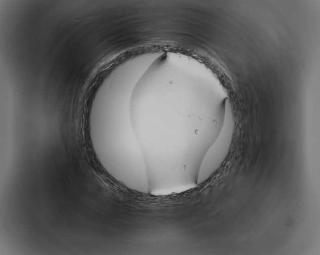 X0000086790920200705111812