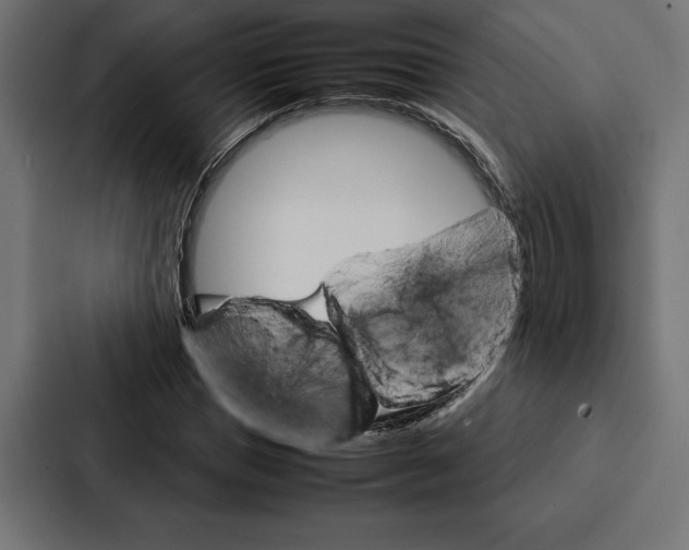 X0000086790921200705111812