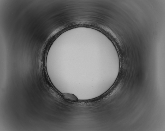 X0000086790922200705111812