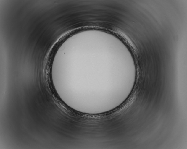 X0000086790923200705111812