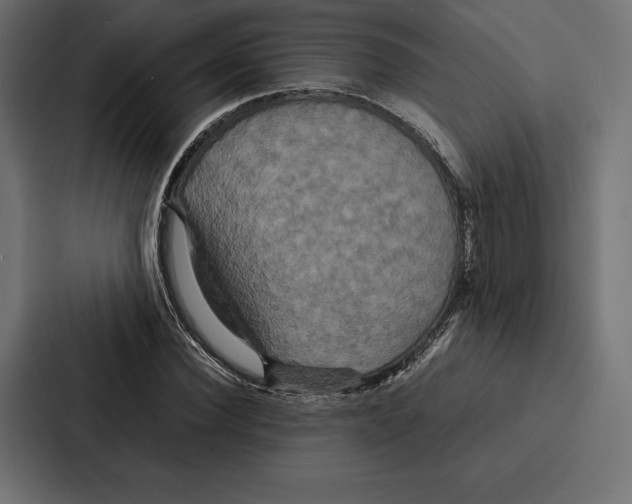 X0000086790924200705111812