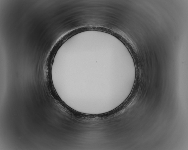 X0000086790926200705111812