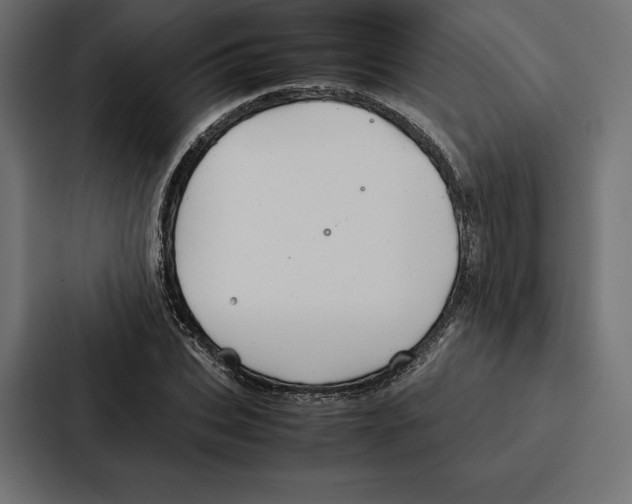 X0000086790927200705111812