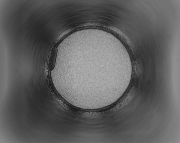 X0000086790929200705111812