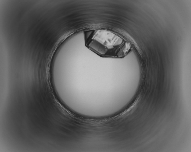 X0000086790930200705111812