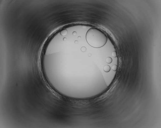 X0000086790931200705111812