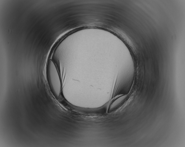 X0000086790932200705111812