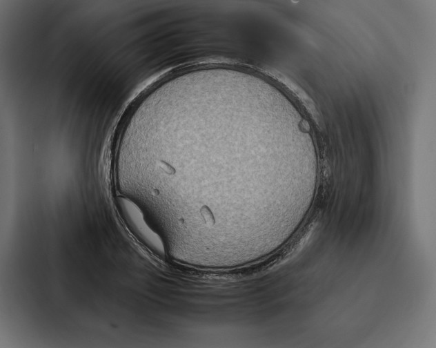 X0000086790933200705111812