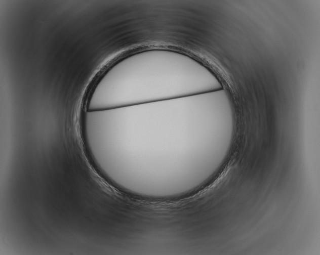 X0000086790934200705111812