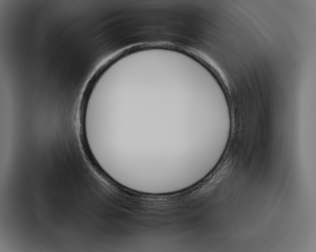 X0000086790935200705111812