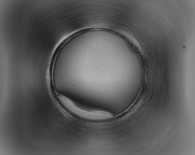 X0000086790936200705111812