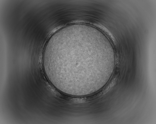 X0000086790937200705111812