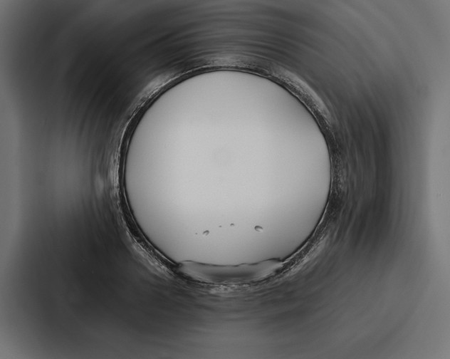 X0000086790938200705111812