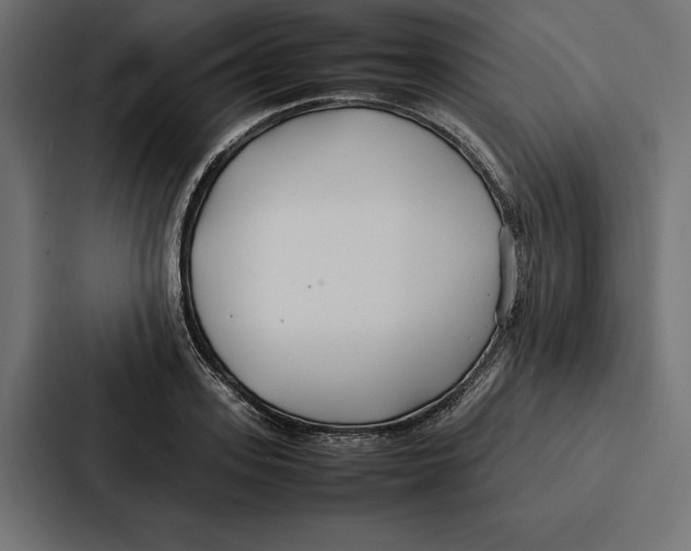 X0000086790939200705111812