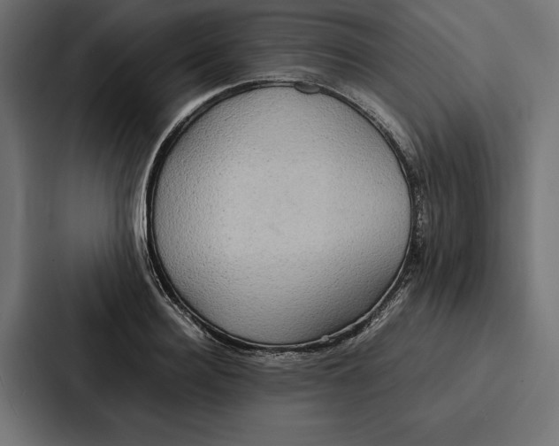 X0000086790940200705111812