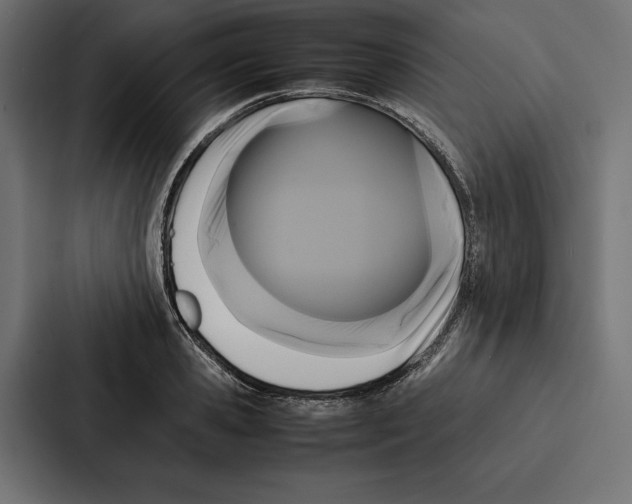 X0000086790941200705111812