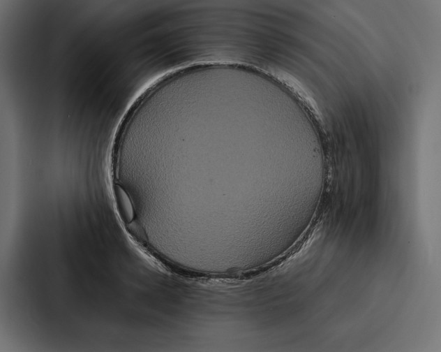 X0000086790942200705111812