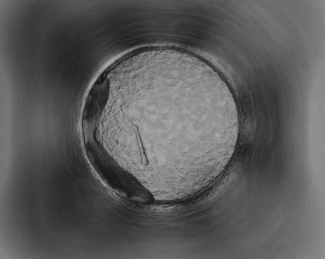 X0000086790943200705111812