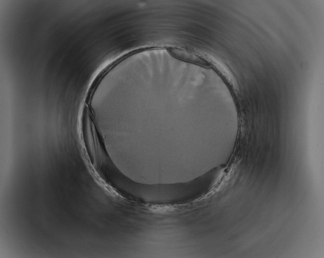 X0000086790944200705111812