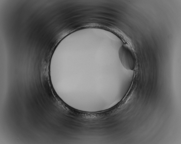 X0000086790945200705111812