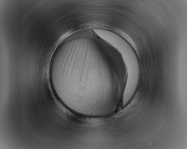 X0000086790946200705111812