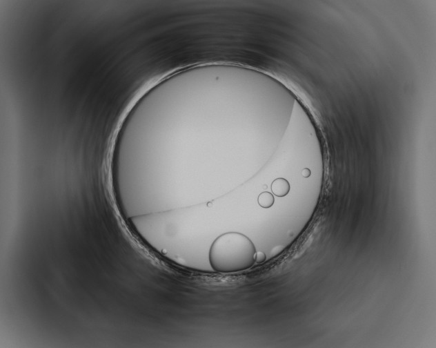 X0000086790949200705111812