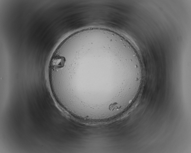 X0000086790950200705111812