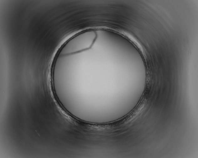 X0000086790951200705111812