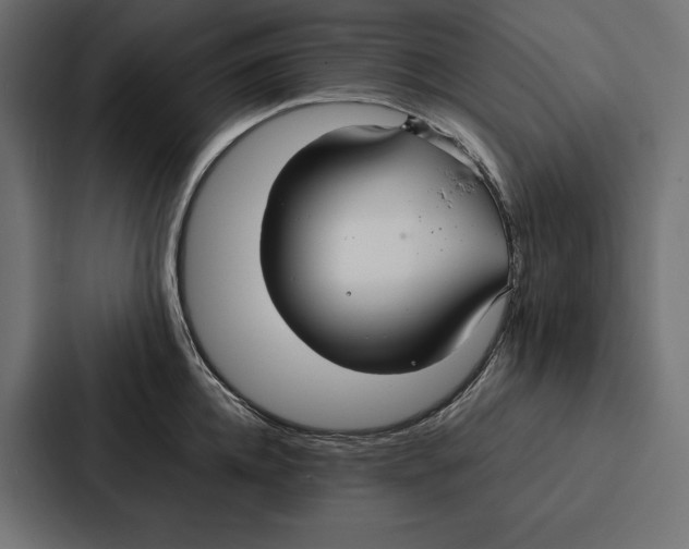 X0000086790952200705111812