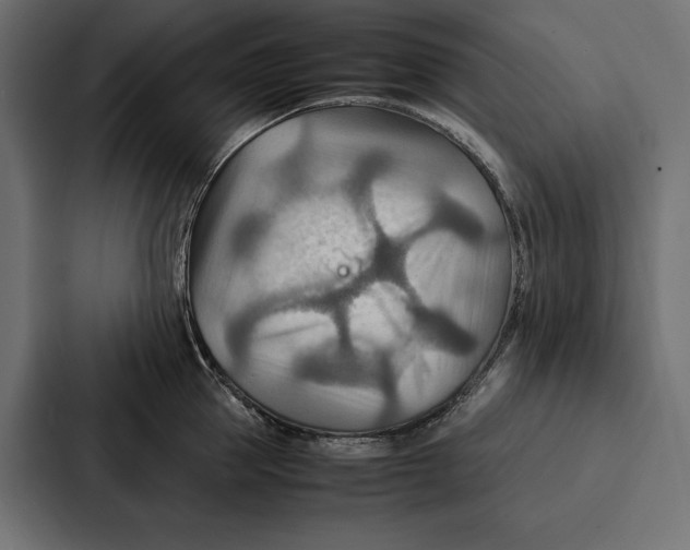 X0000086790953200705111813