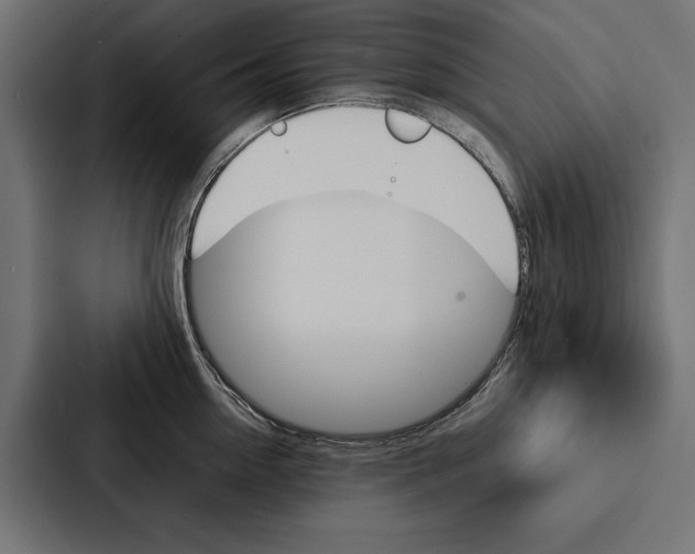 X0000086790954200705111813