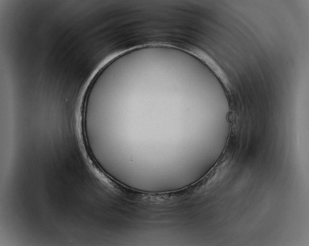 X0000086790955200705111813