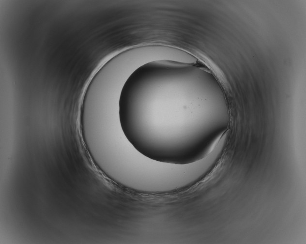 X0000086790956200705111813