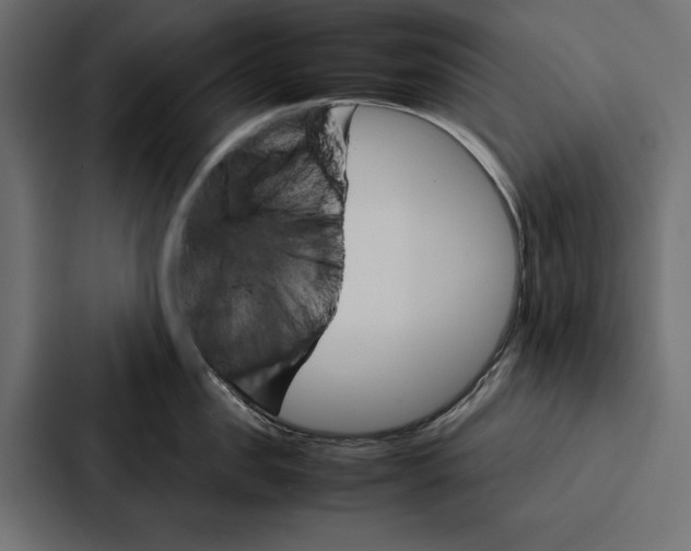 X0000086790957200705111813