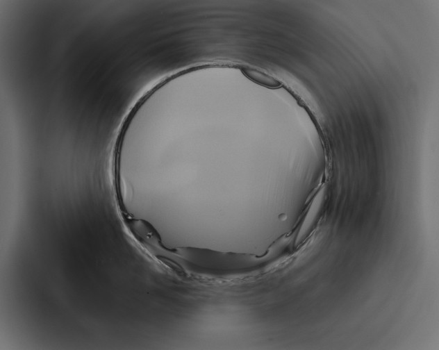 X0000086790958200705111813