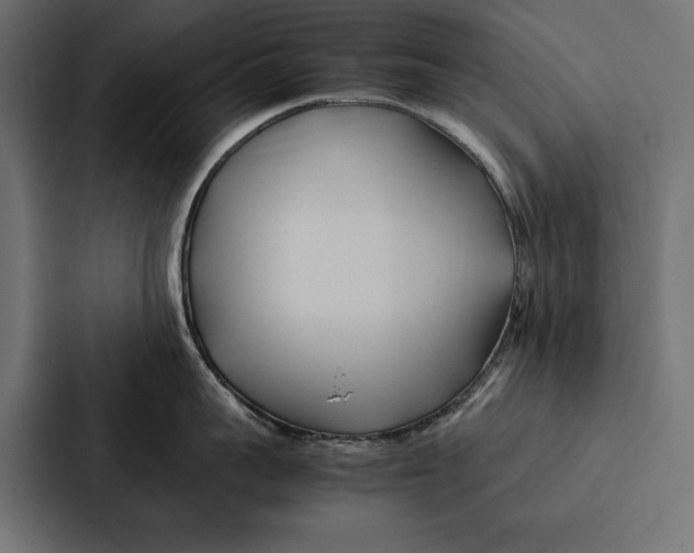 X0000086790959200705111813