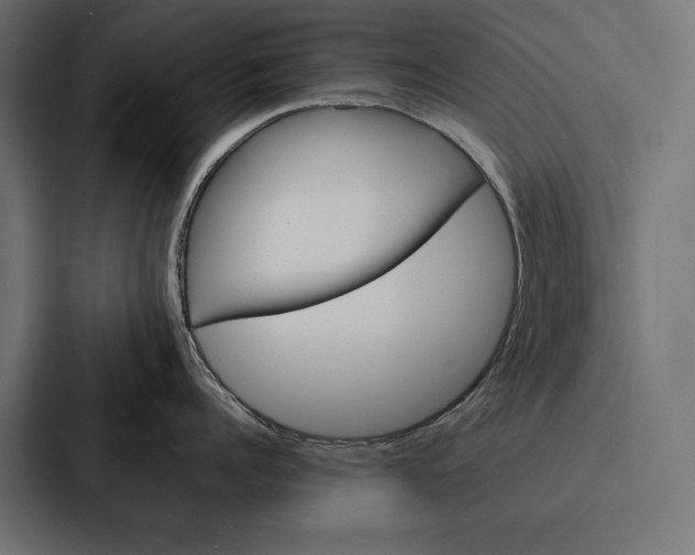 X0000086790960200705111813