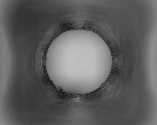 X0000086790961200705111812