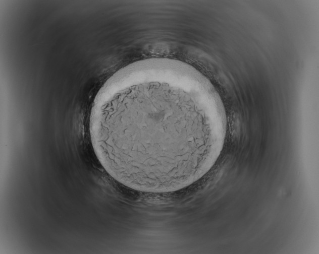 X0000086790962200705111812