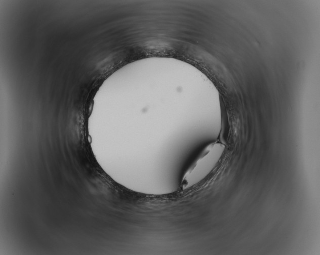 X0000086790964200705111812